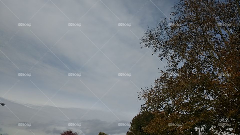 Fair Weather Sky Stripes