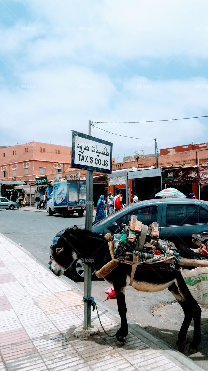 A cart with a donkey near a station for taxis...Amazing