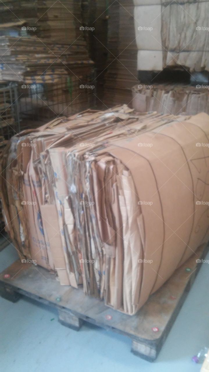 preparation for recycling. cardboard preparation for recycling