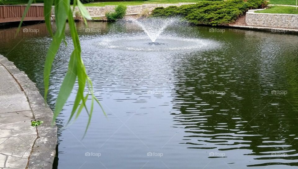 fountain in pond, framed by willow branch and greenery
