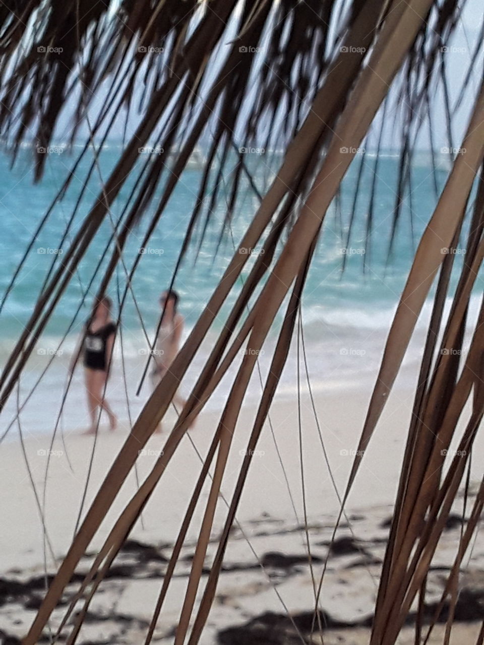 ocean, beach, walking girls, beach fungus from palm leaves