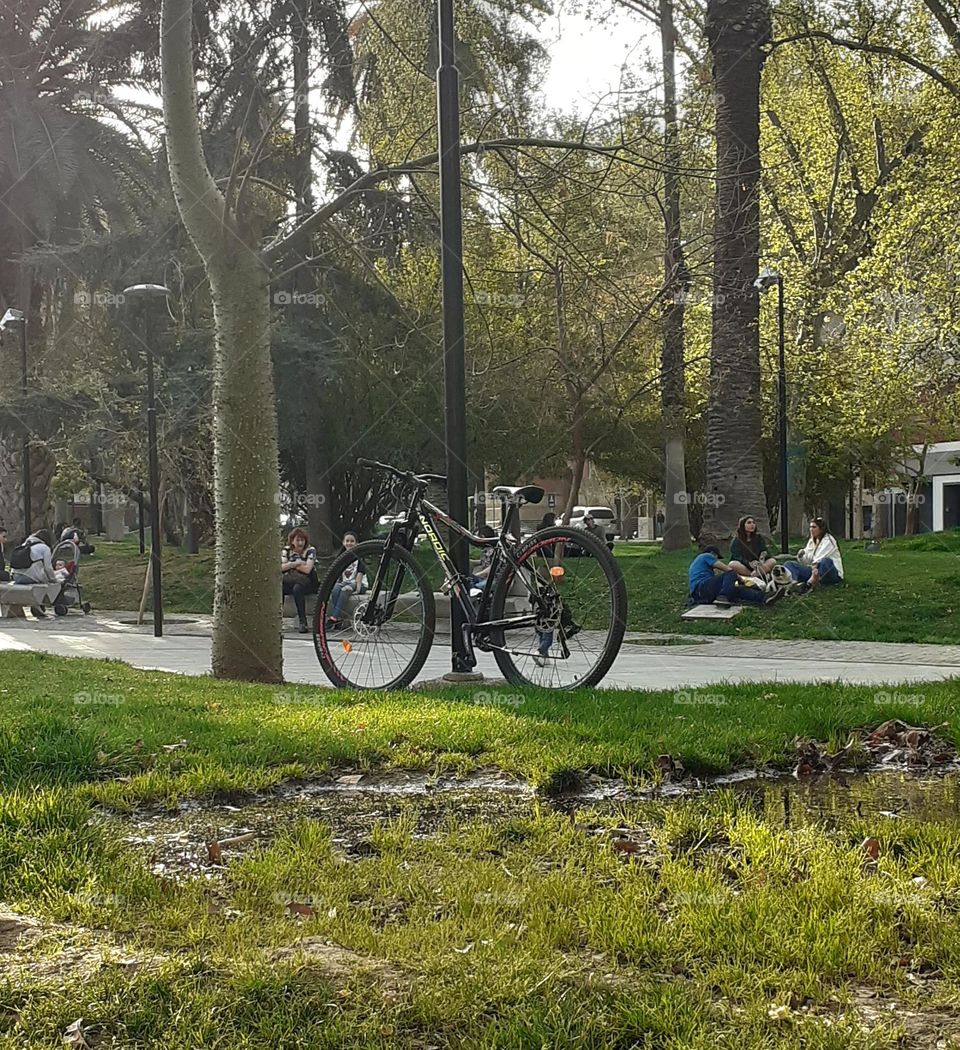 la bicicleta en el parque