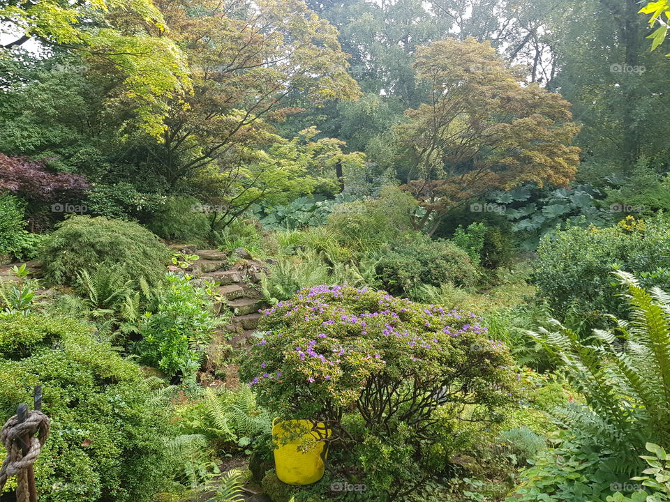 Winterbourne Gardens