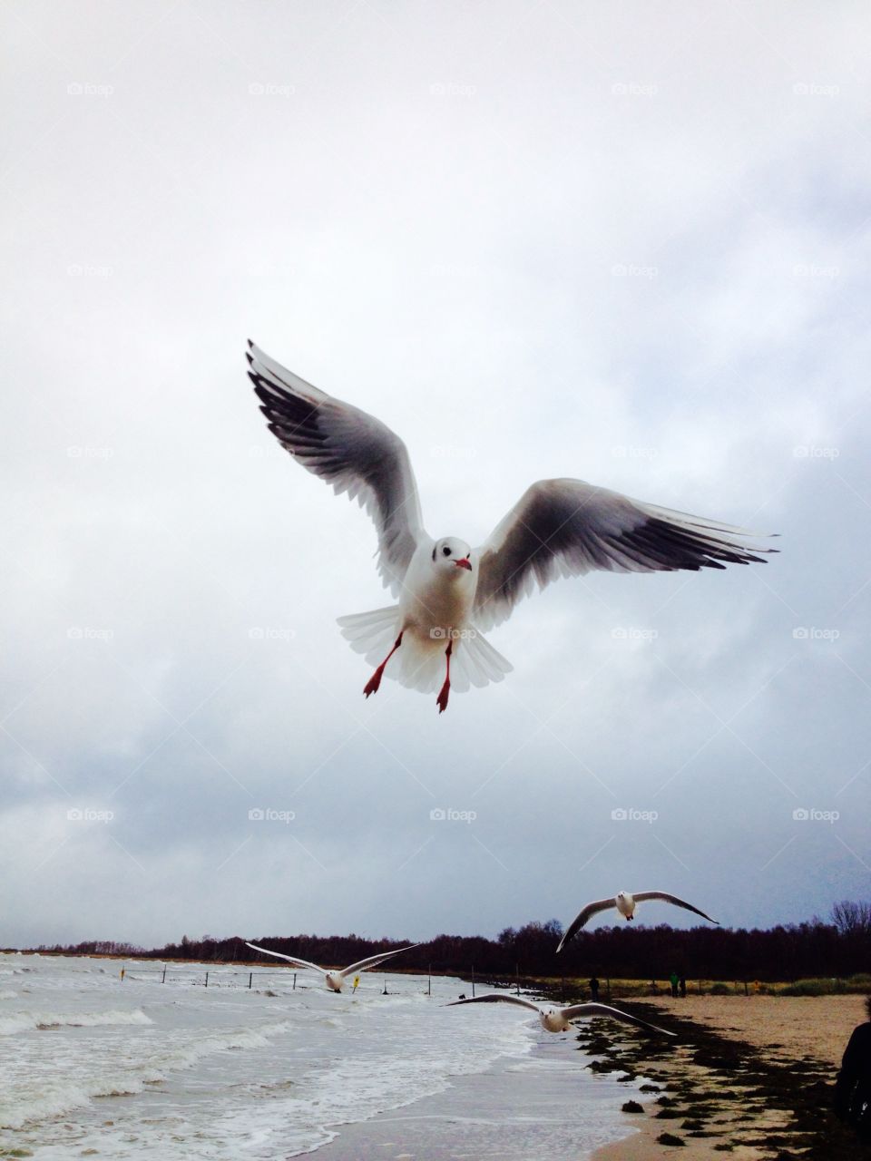 Baltic Sea