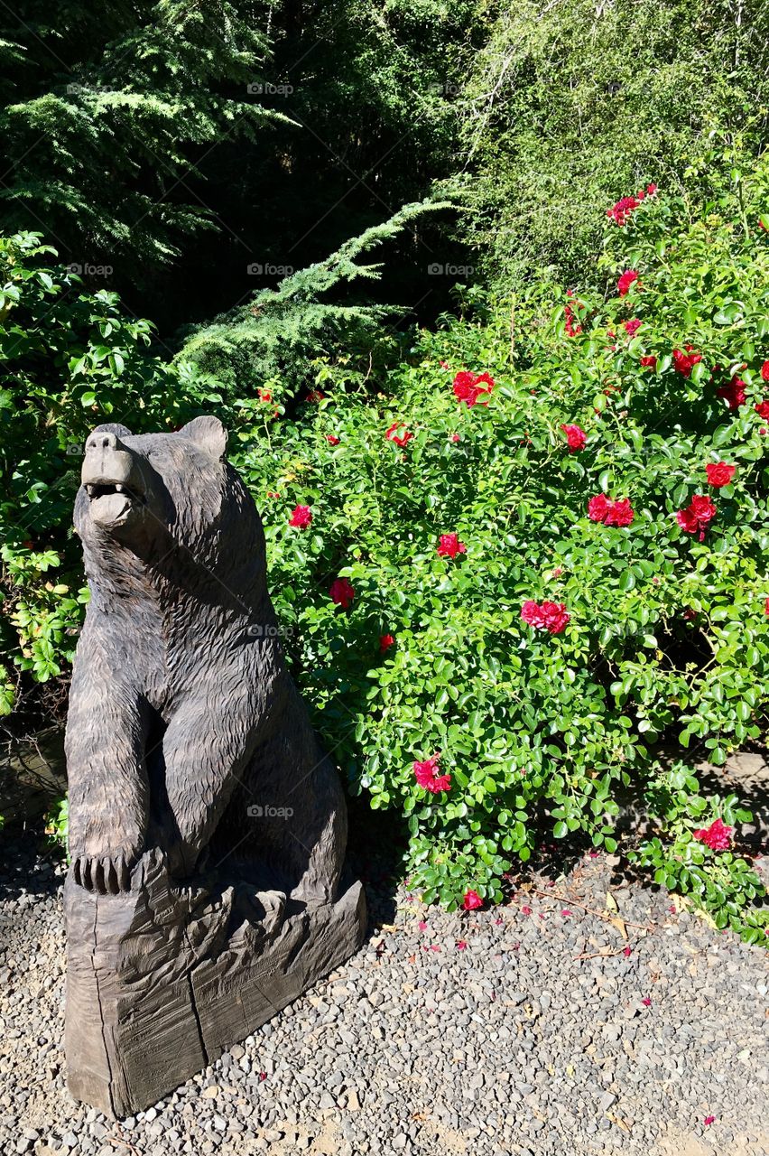 Bear and blooms , Camp 18, Seaside, Oregon