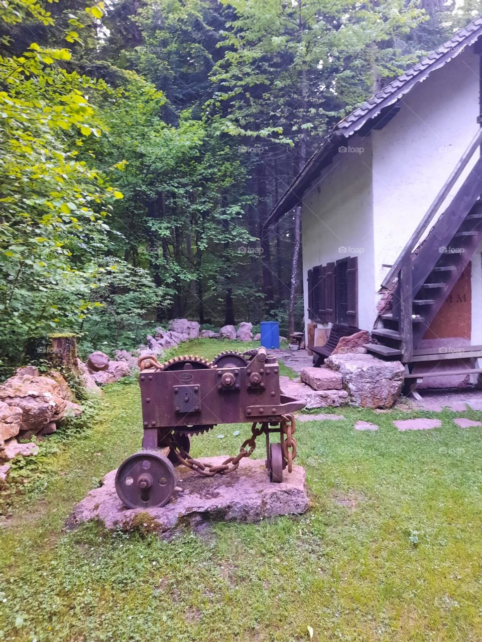 Haus im Wald 