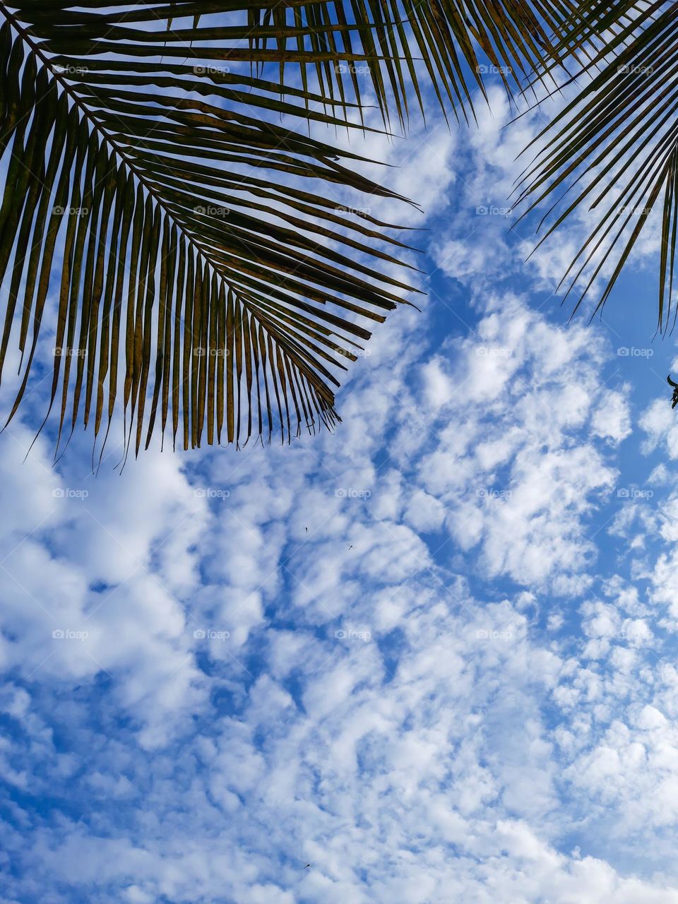 Beautiful spots of clouds over the sky