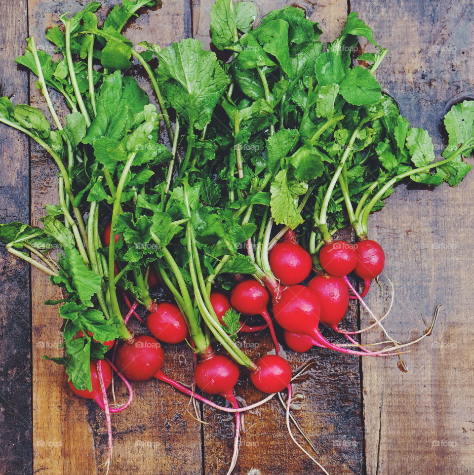 radishes