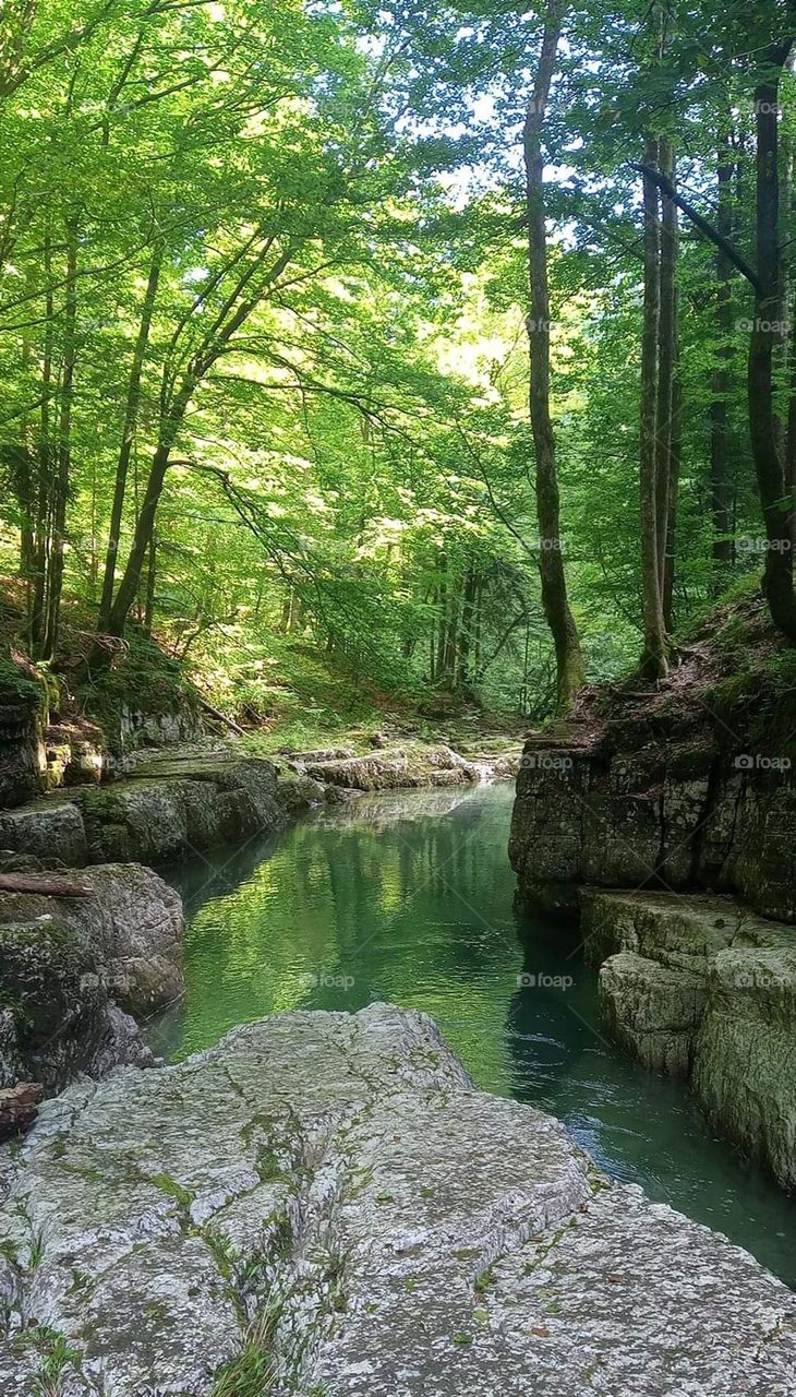 hidden spot in forests