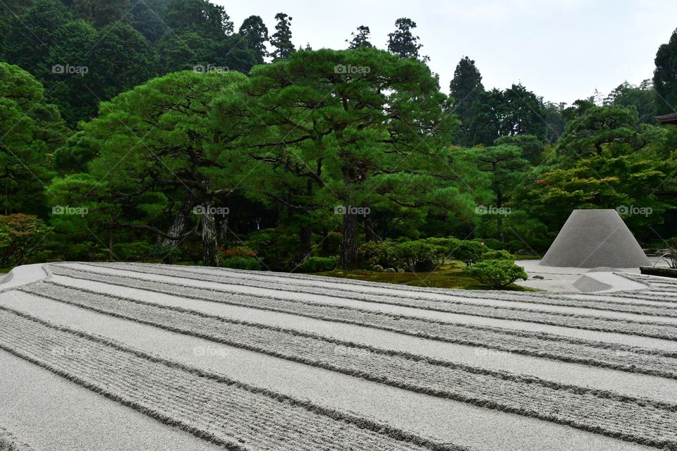 Japanese garden