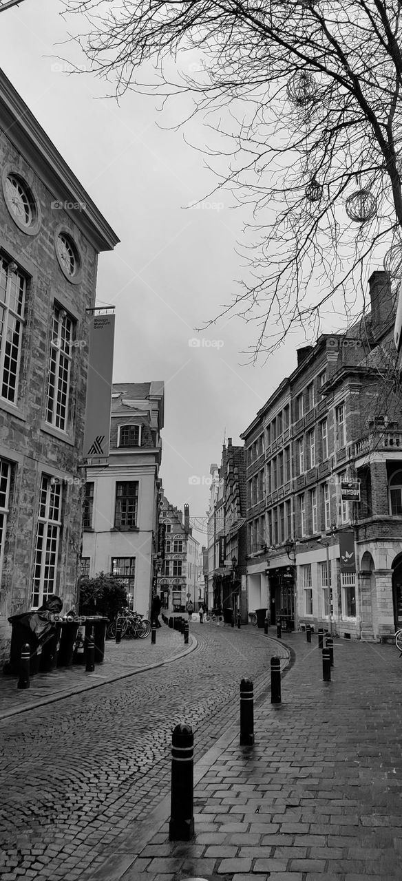 City life, city architect