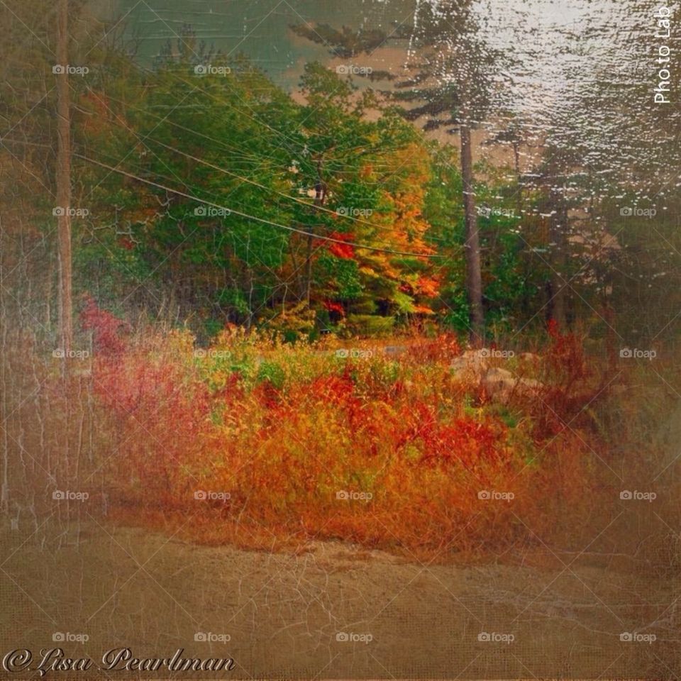 Autumn in New England