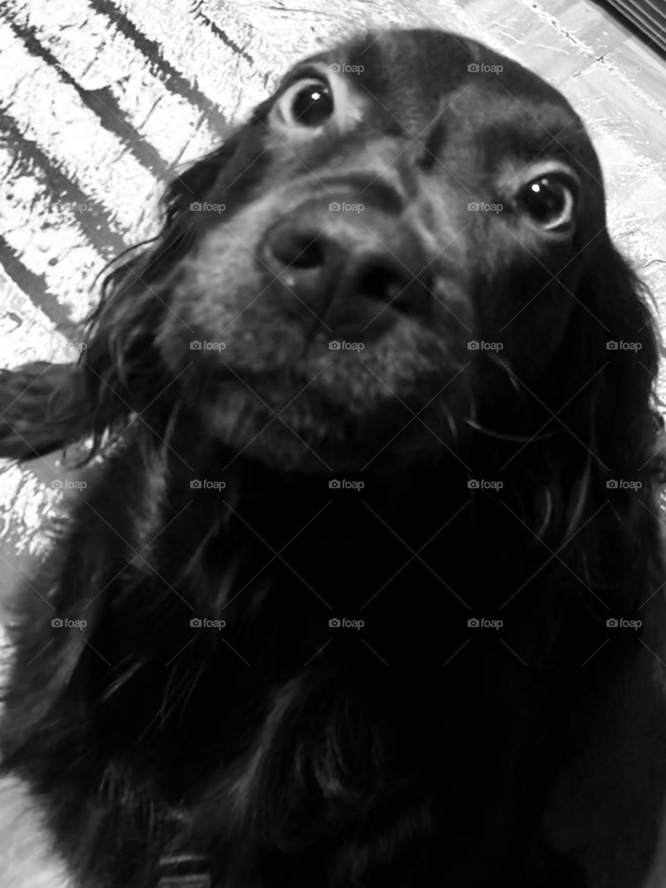 What do you think I am thinking?