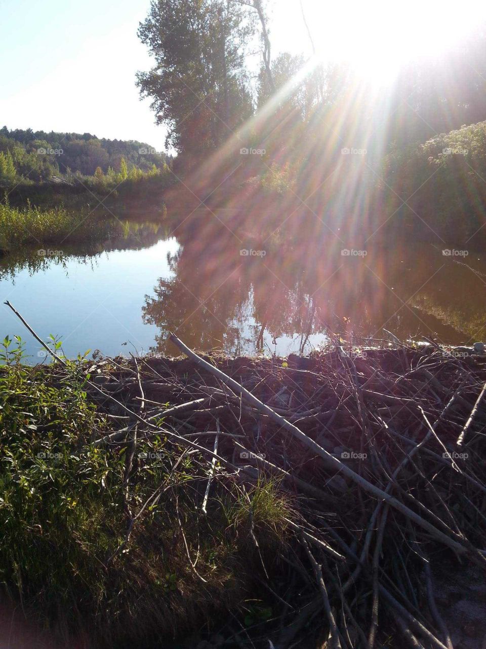 Water, Reflection, Landscape, Lake, Tree