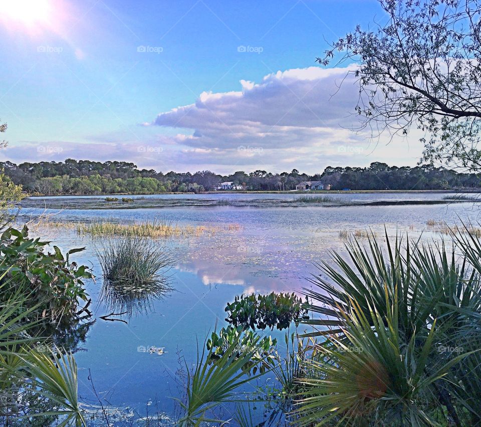 Lakeside view