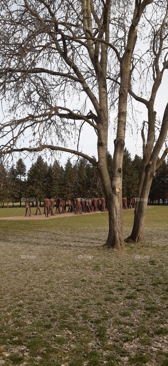 неопізнані