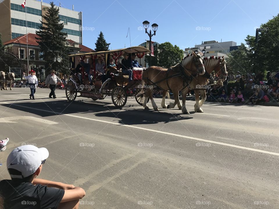 A horse and buggy in the parade.