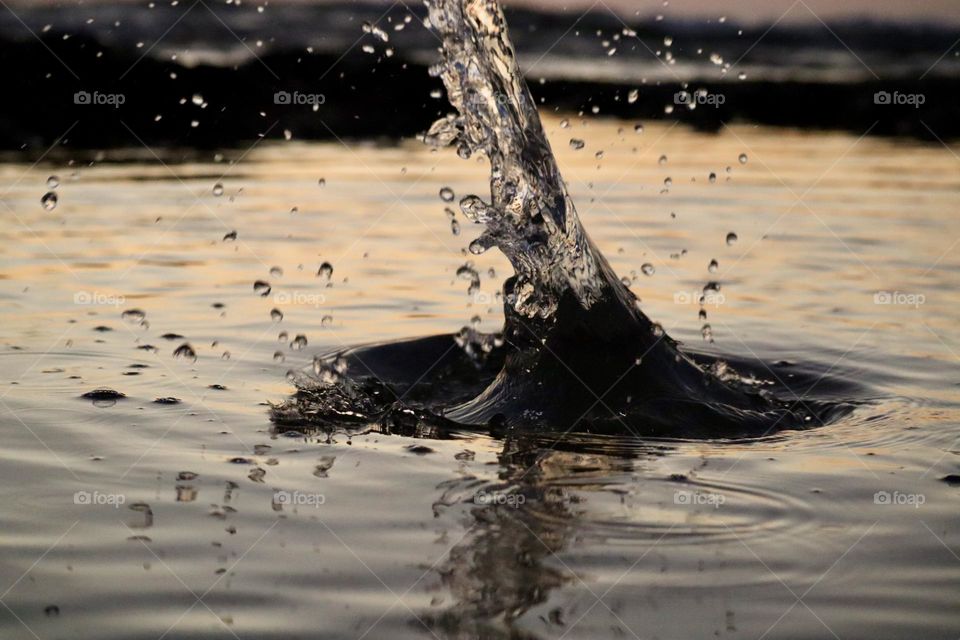Splash of water 
