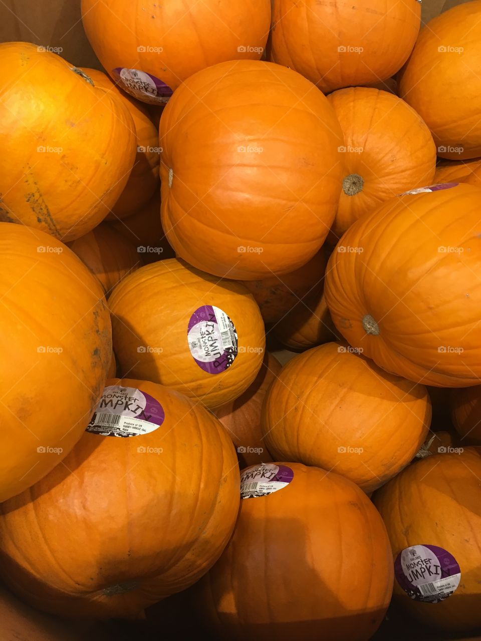 Pumpkin, Halloween, Fall, Thanksgiving, No Person