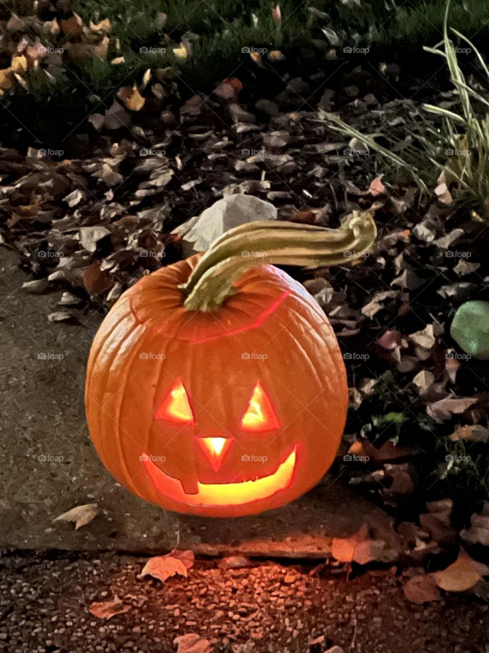 Jack o Lantern 