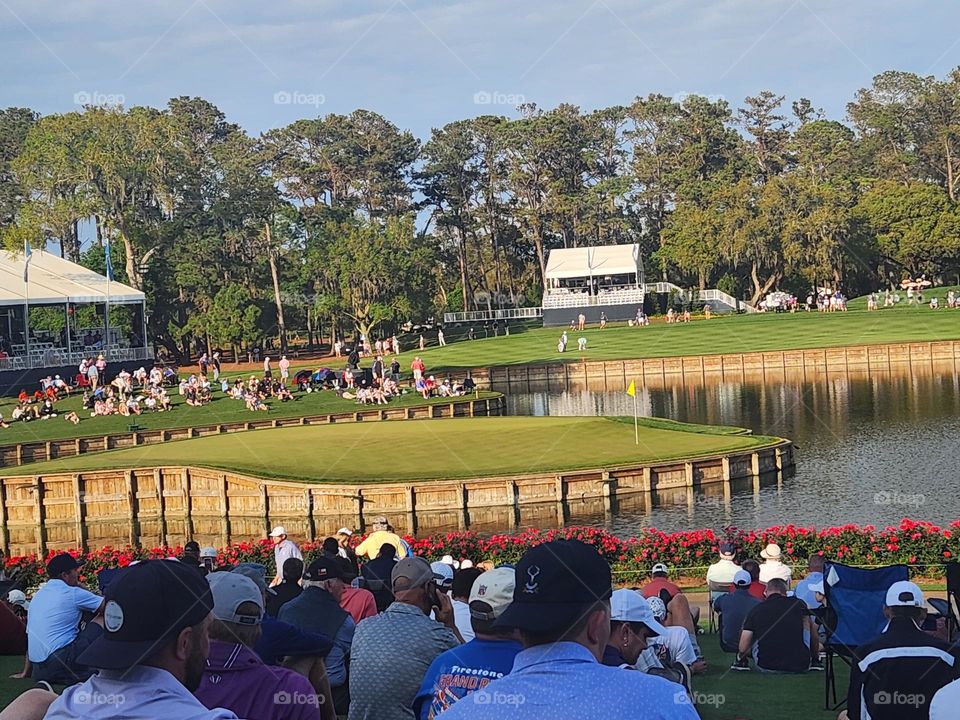 Sawgrass TPC