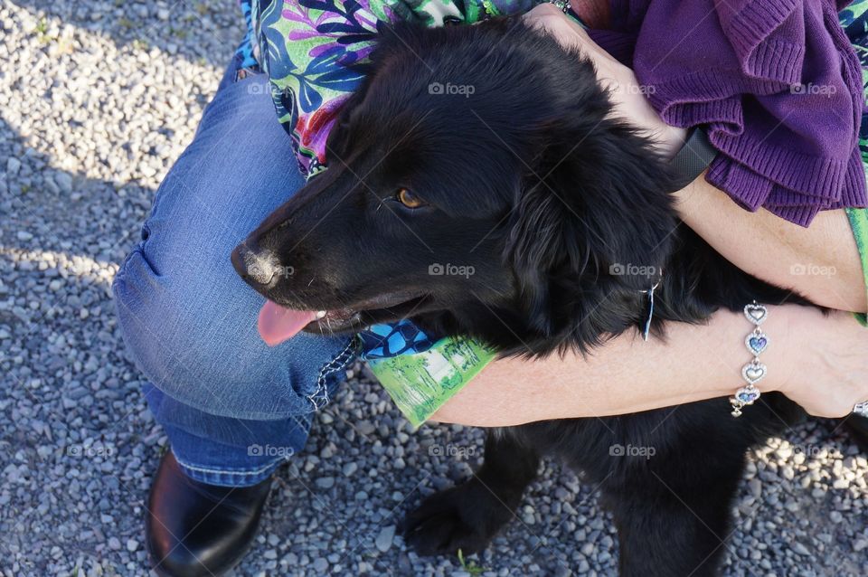 Cute puppy gets a big hug