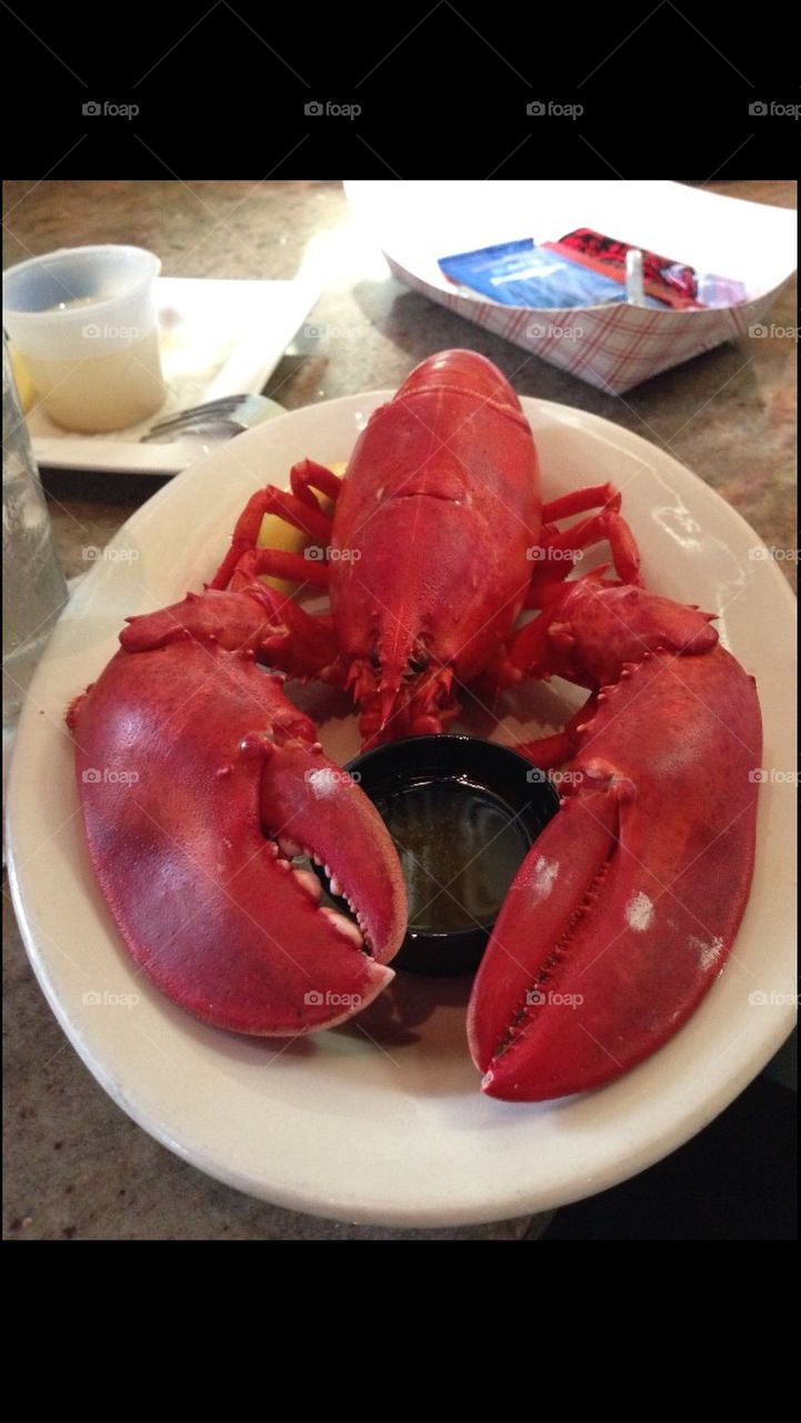 Lobster dinner ... Yum