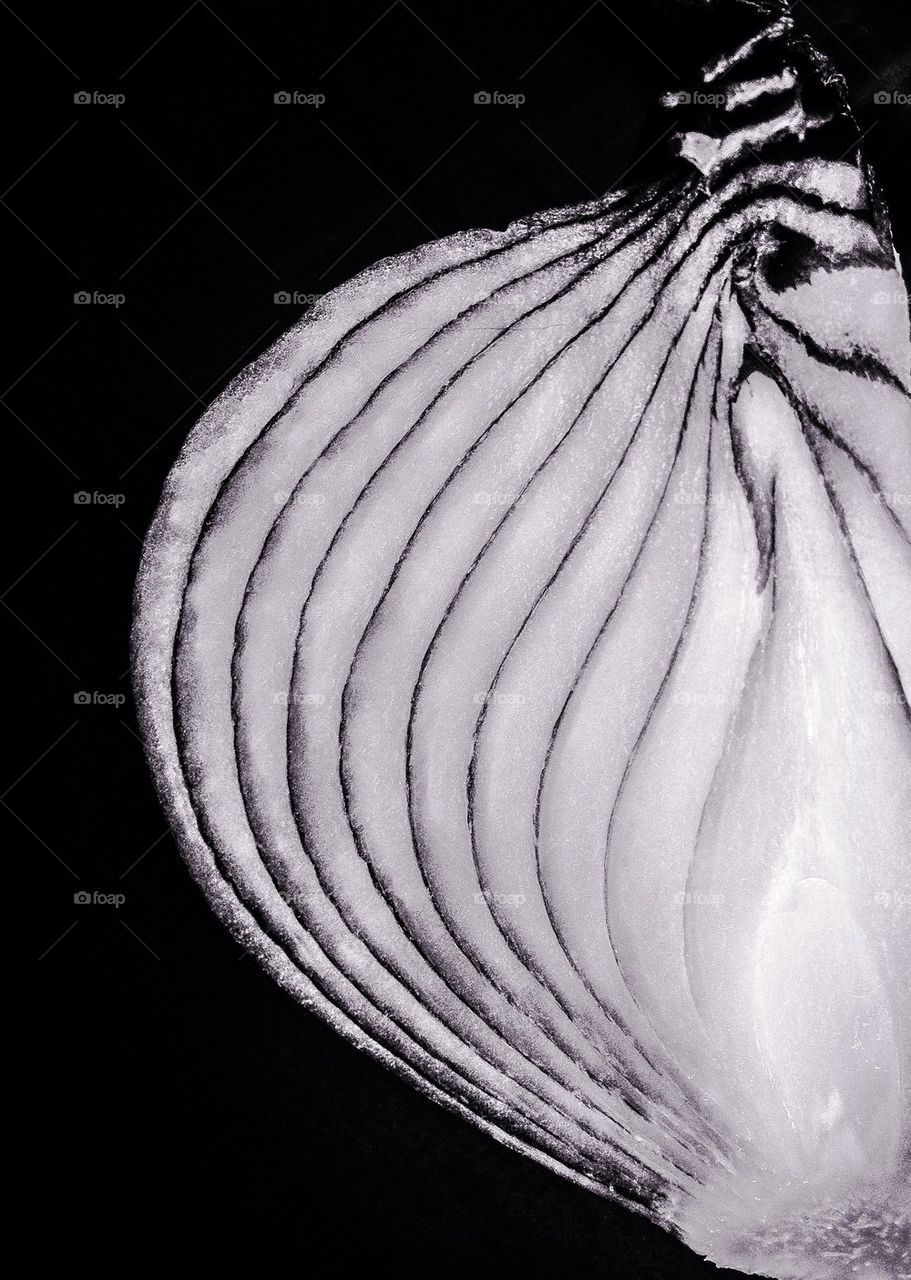 Black and white onion