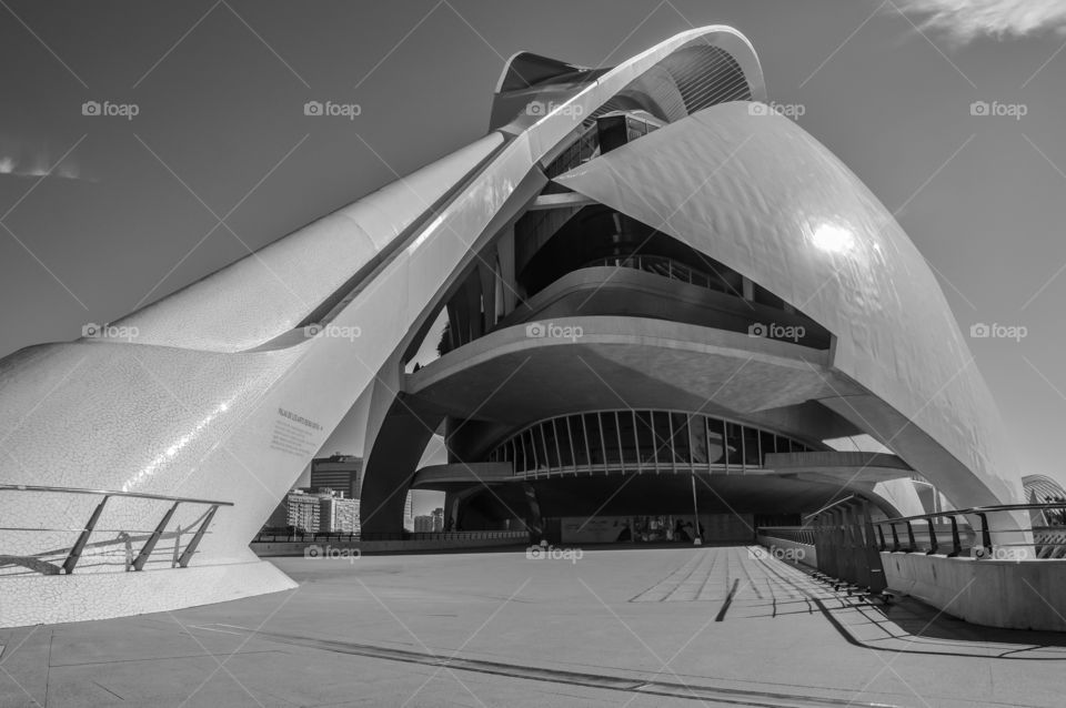 Palacio de las Artes Reina Sofia (Valencia - Spain)