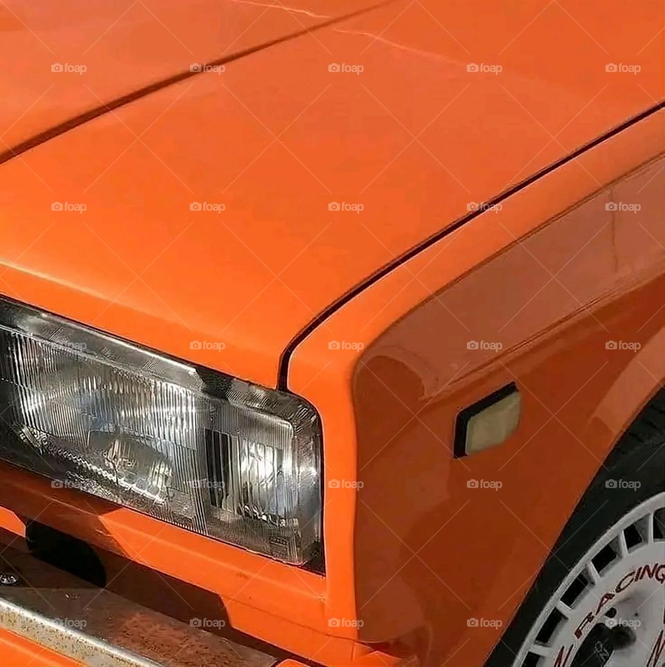 A very beautiful picture, and there is no better picture than it. There is no better picture of green herbs and colorful, red and white roses than it. Glory be to God, the natural and picturesque view, and there is no more wonderful picture than it.