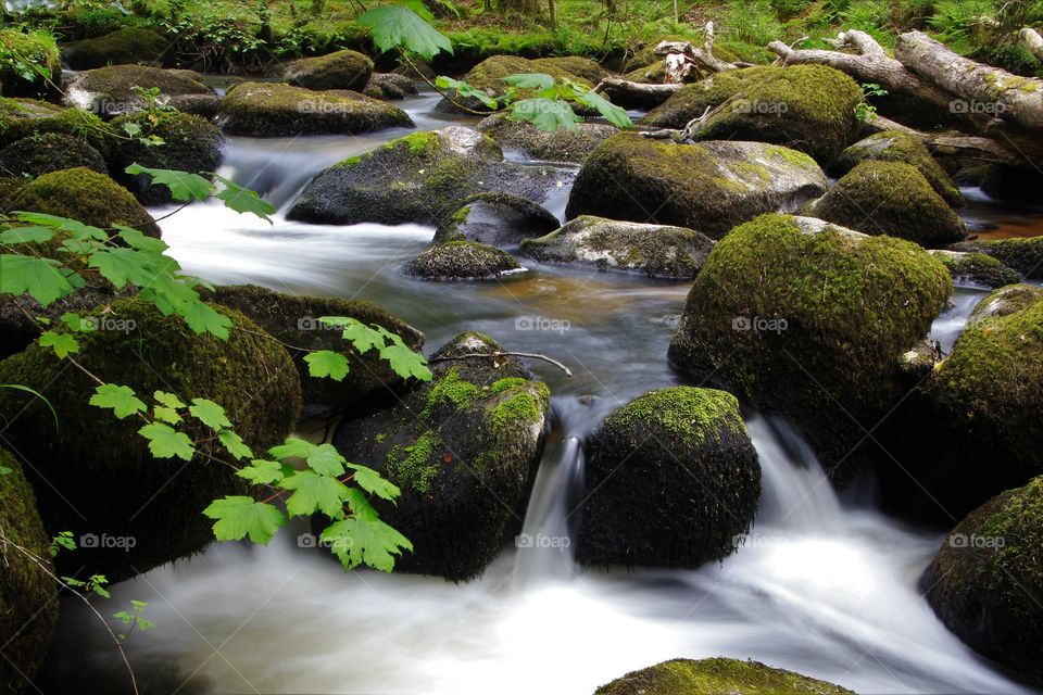 River Bovey