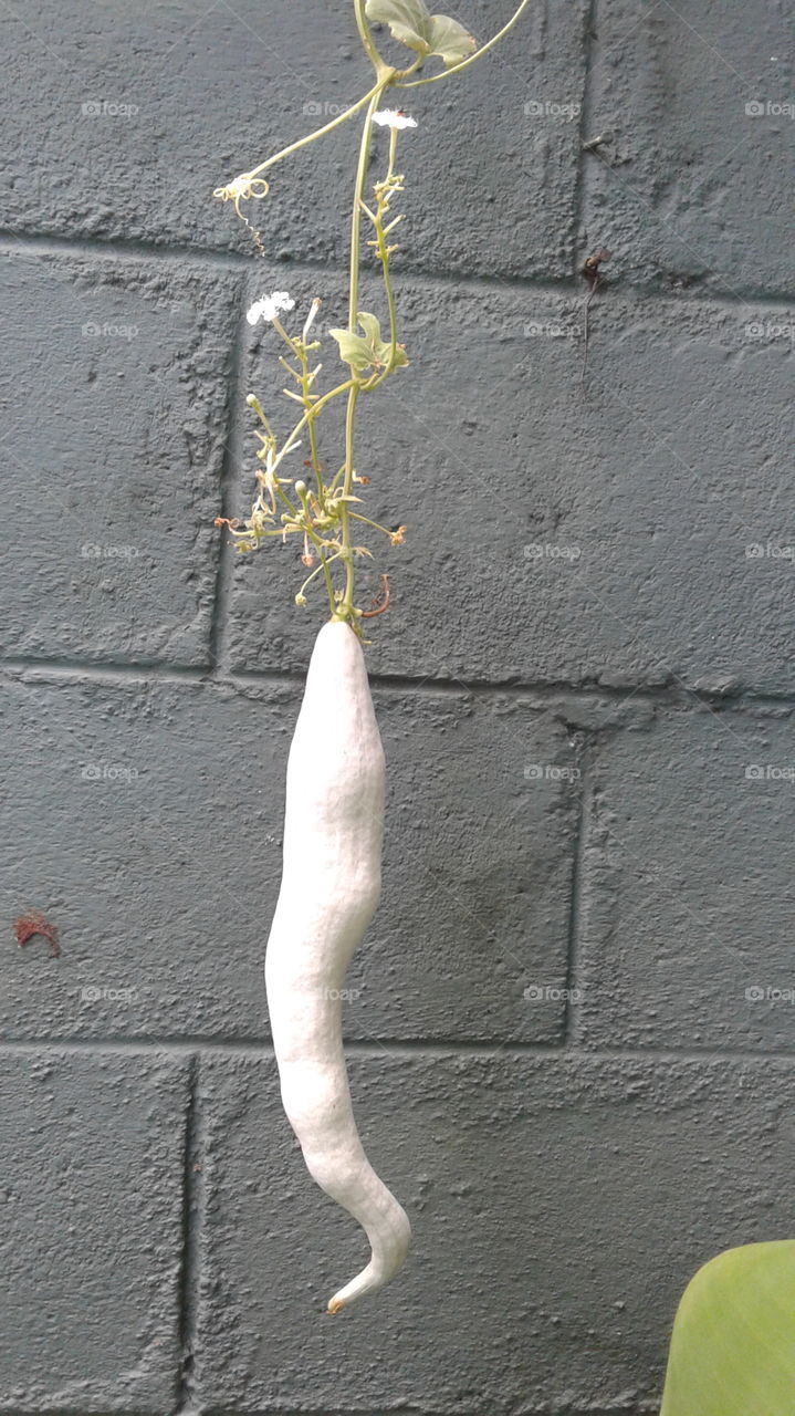 nature create beauty