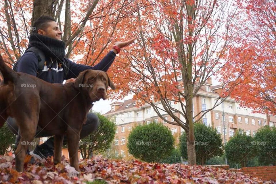 Autumn#leaves#colors#human#dog