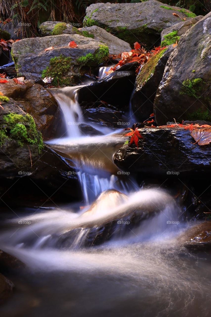 Beautiful water fall natural landscape