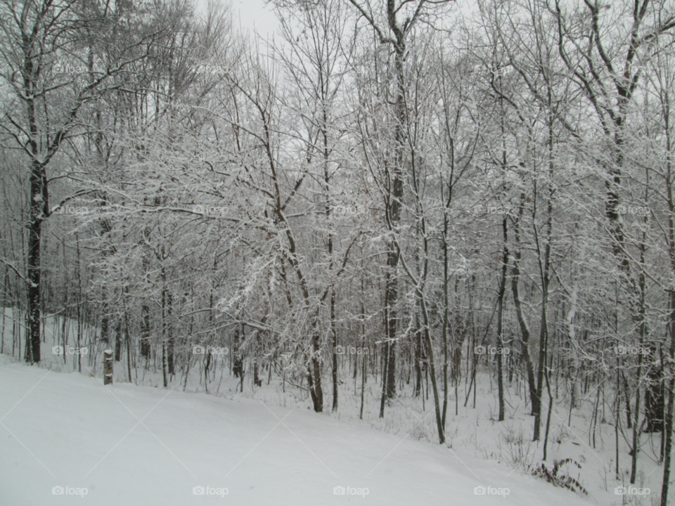 snow winter white scenery by ashley77