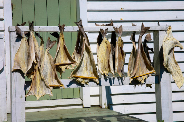 Fish hanging to dry. 