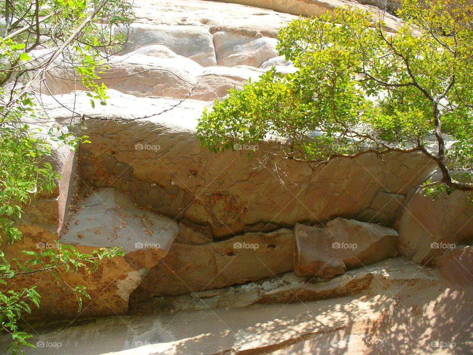 Nature, Landscape, Water, Tree, Rock