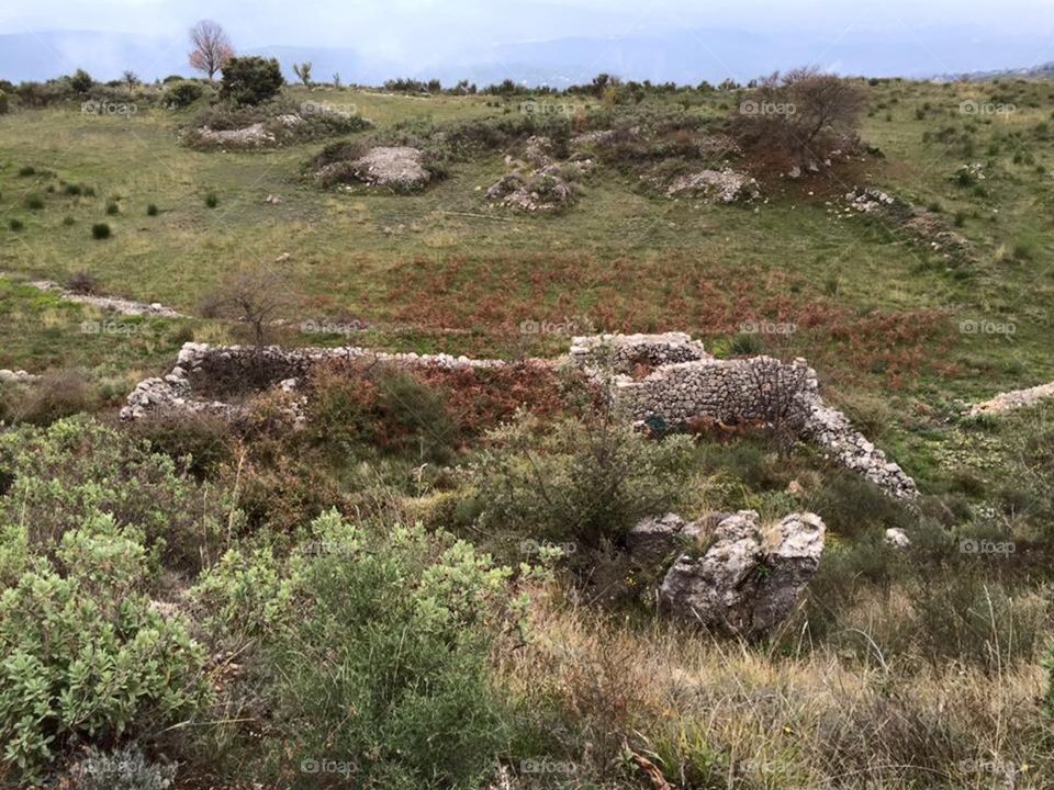 High angle view of a grassy landscape