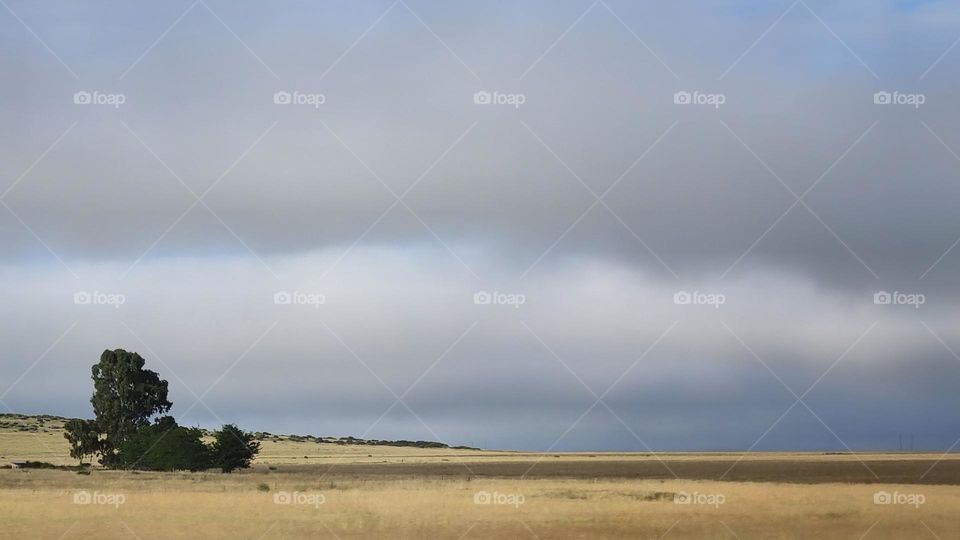 landscape.  a beautiful still landscape in the "karoo " South Africa.