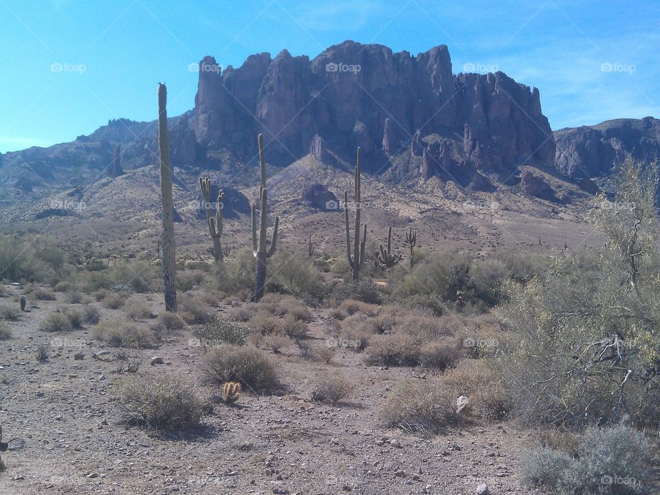 Superstition Mountains . Taken while hiking in the Lost Dutchman State Park in Apache Junction, AZ