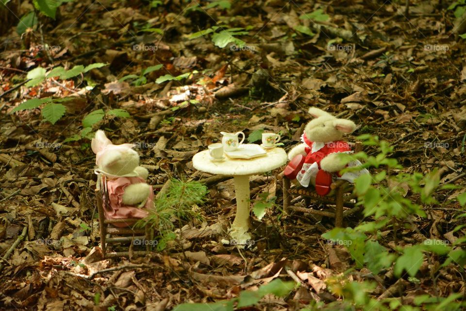 Bunny Tea Party with Mushroom Table