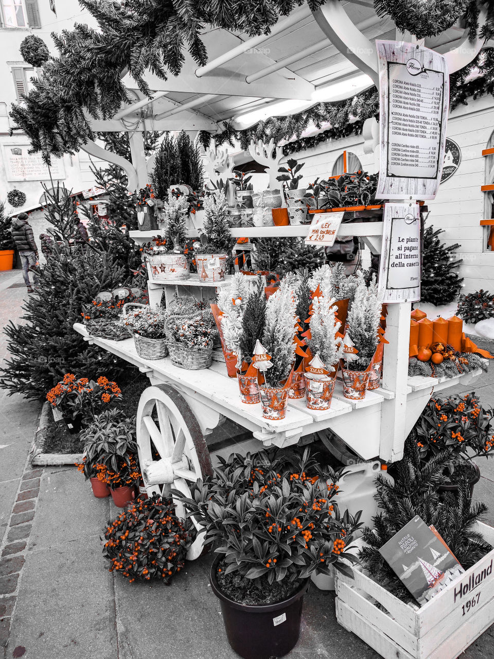 Christmas cart with all flower decorations in the city of Trento