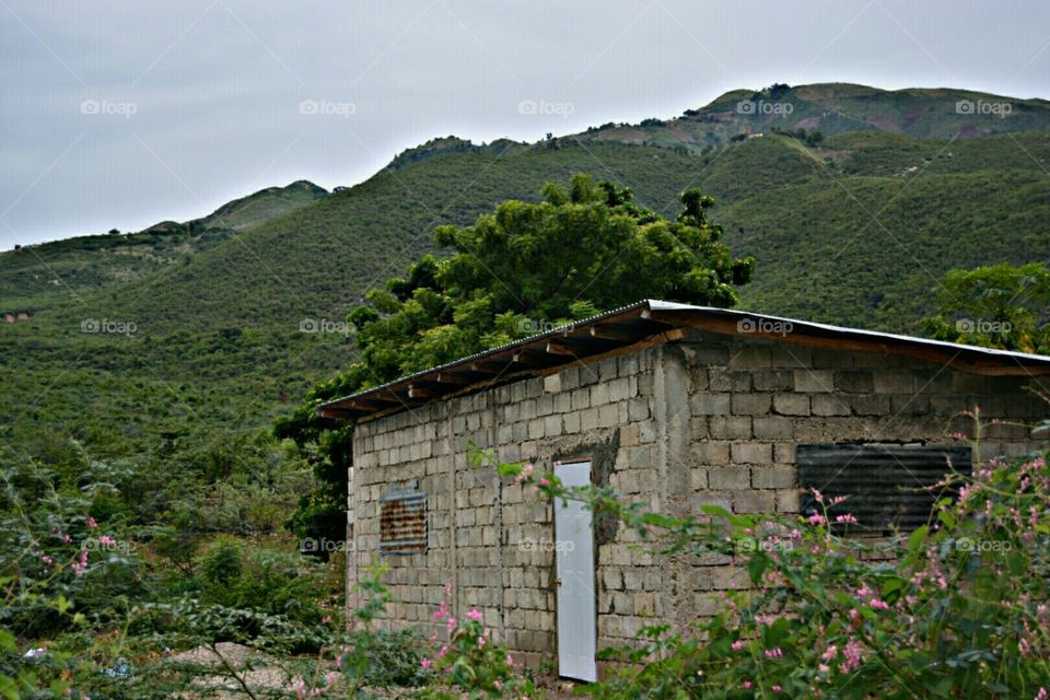 Haitian Block House