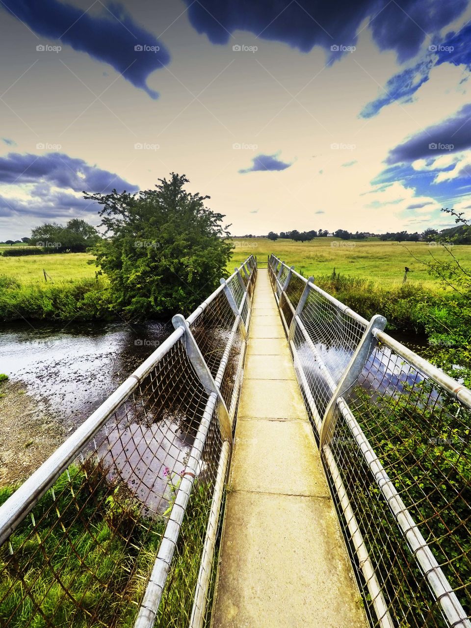 Bridge. Footbridge