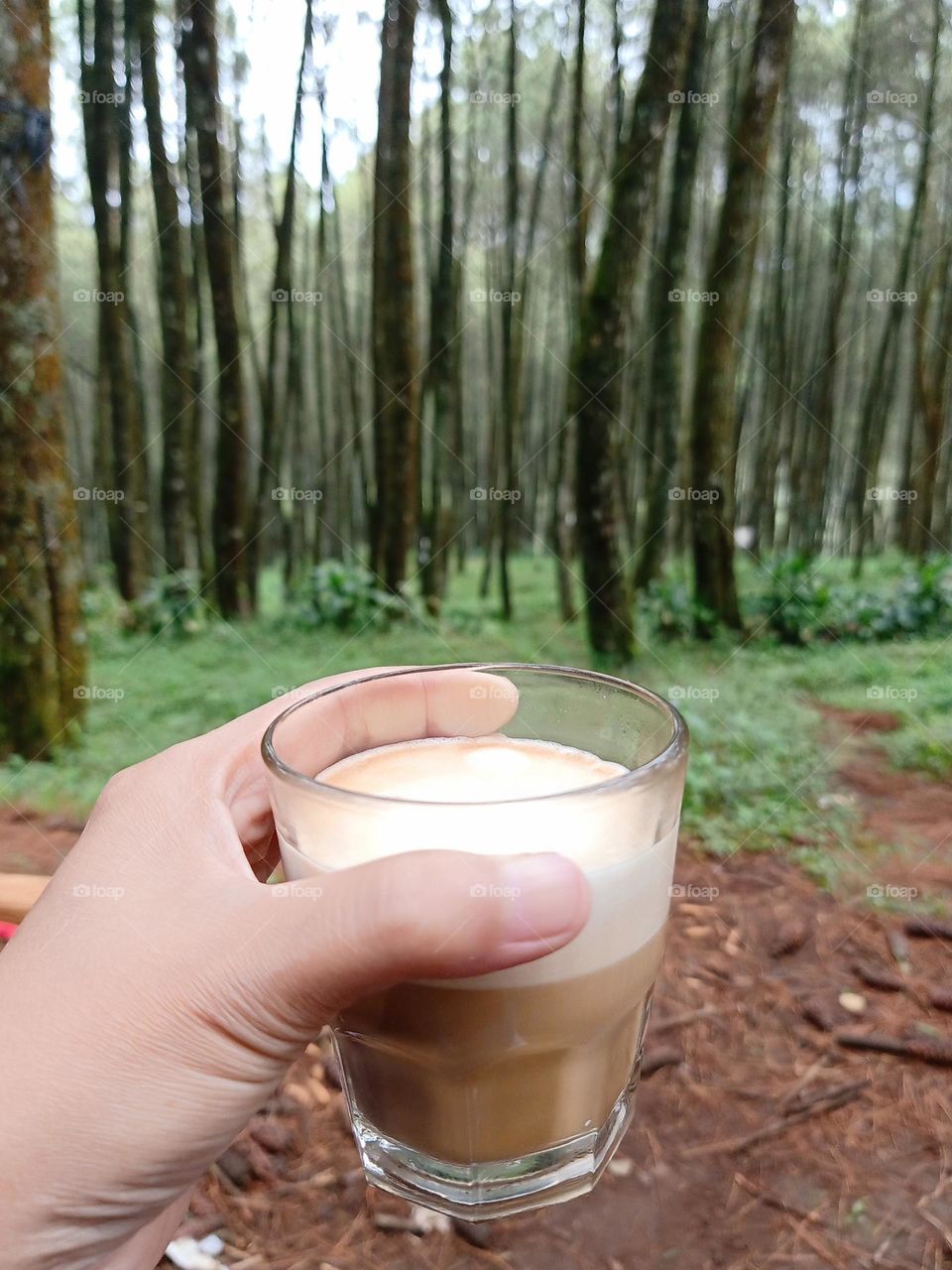 morning Coffee in the forest