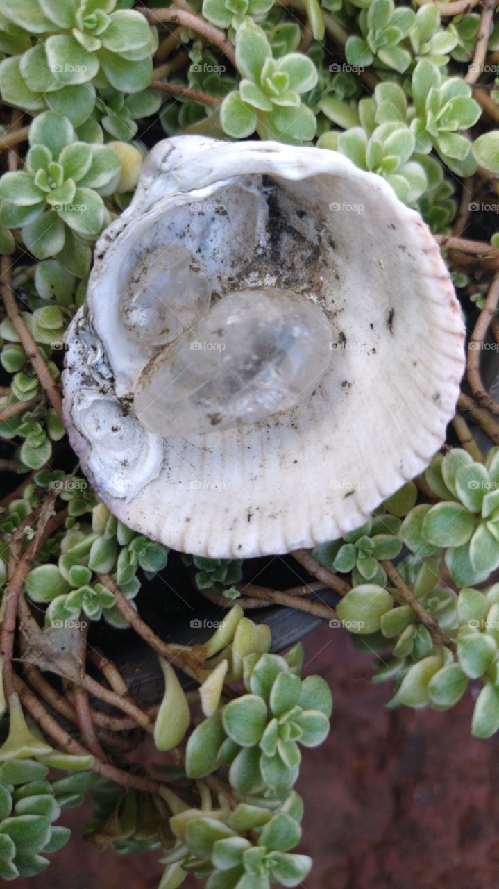 forças positivas da natureza 😇🙏💯👏