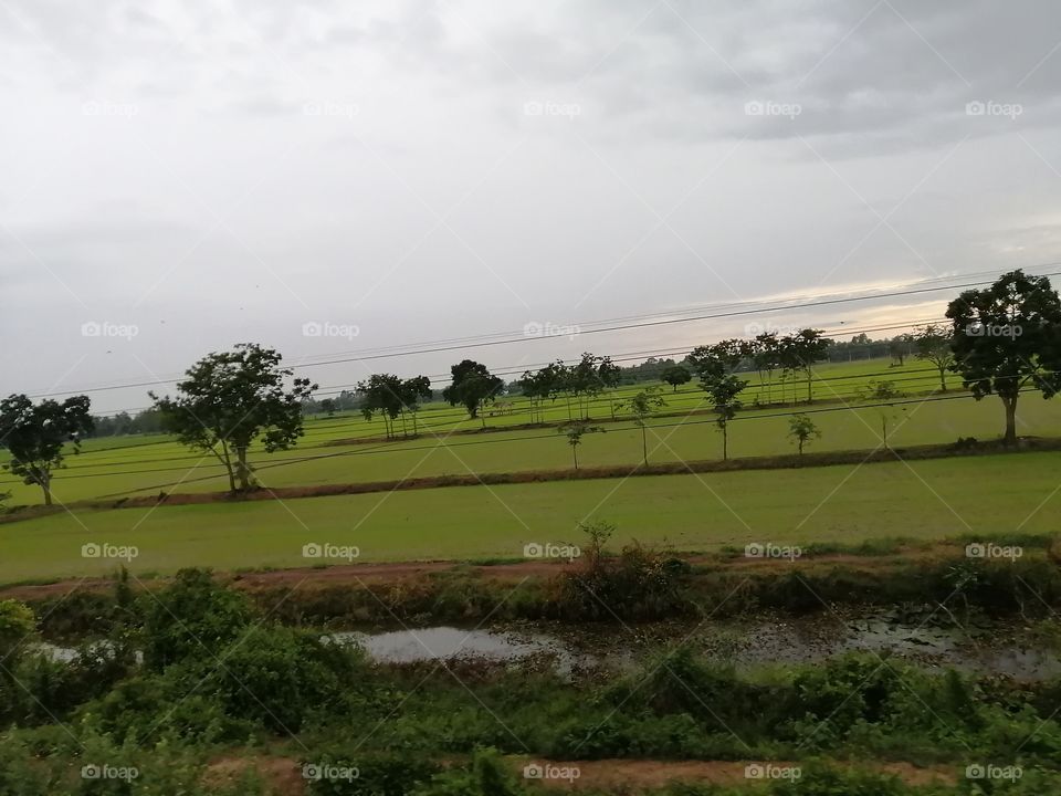 Calm and peaceful weather​ while​ travelling..!