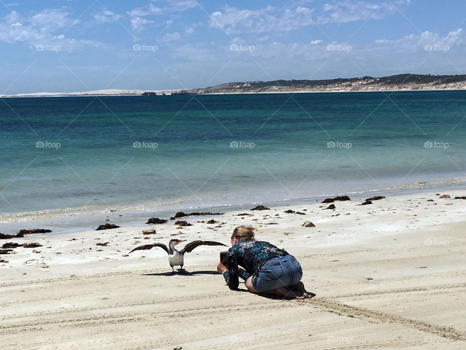 Getting low for the shot for FOAP. I chose in this shot to use my iPhone rather than my bulky Nikon as I did not want to scare this Australian Pied Cormorant away. It took over an hour inching my way toward it to get this close within scaring it away, and I was surprised that its curiosity alone allowed me to approach as it was a healthy bird. I gather it's curiosity of me because it was a remote beach seldom accessed by humans.