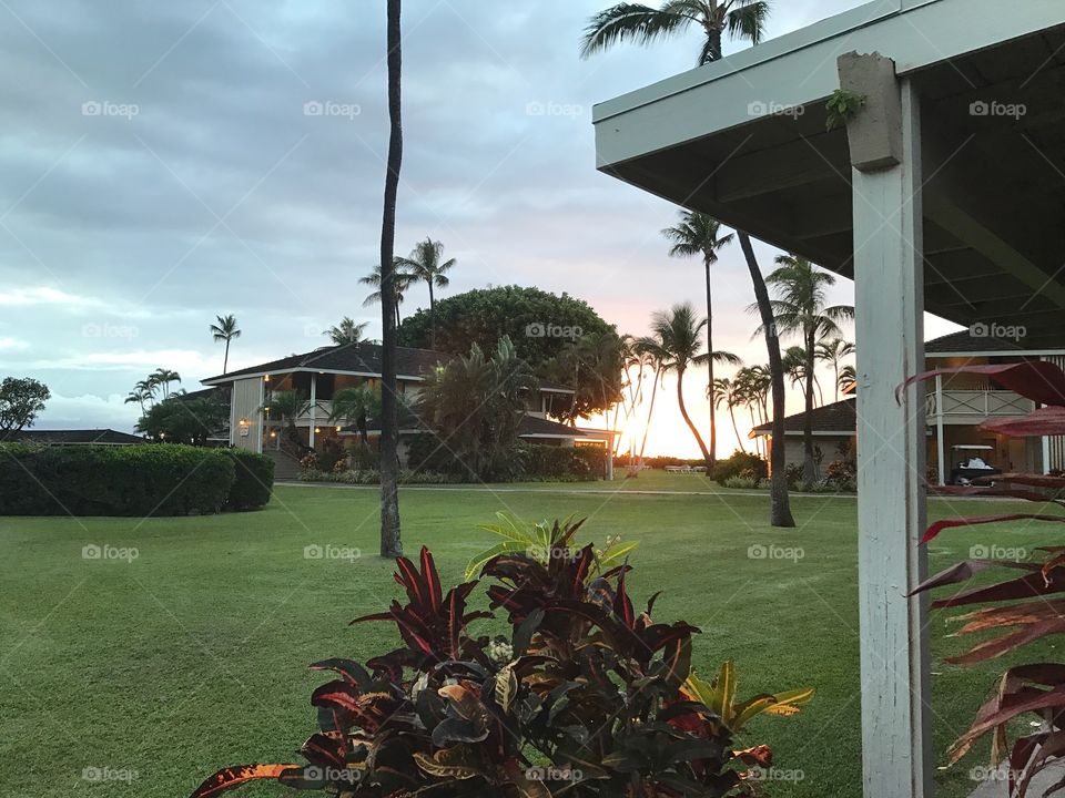 Long Summer Nights in Maui