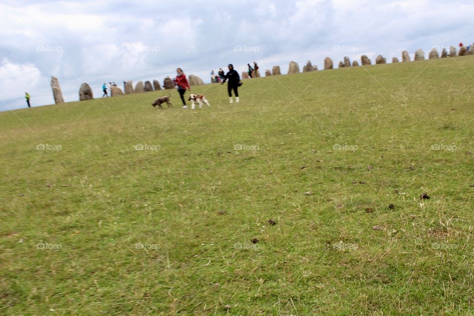 Grass, Landscape, Hayfield, Grassland, Field